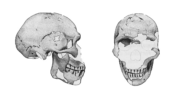 fig4